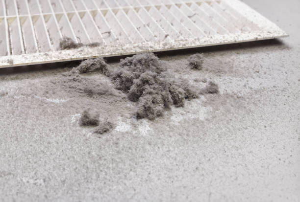 Best Air Duct Cleaning Company Near Me  in Las Vegas, NV