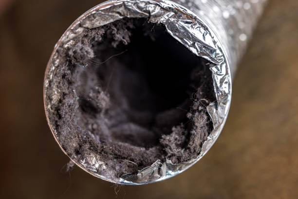 Best Professional Duct Cleaning Services  in Las Vegas, NV